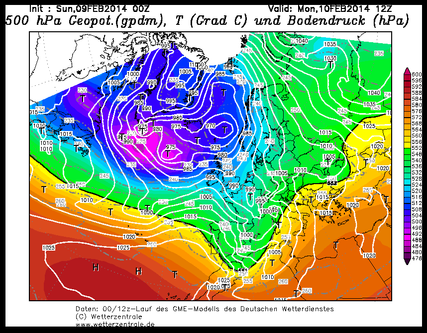 Rgme361