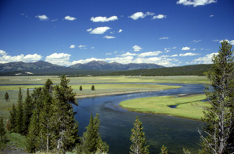 800px-Yellowstone_River_in_Hayden_Valley