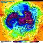 Europeo 20 Novembre