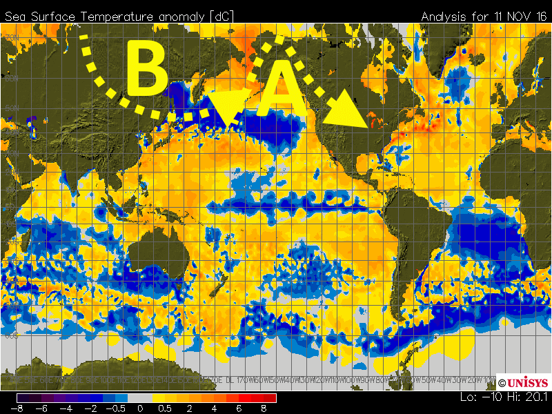 sst_anom-1
