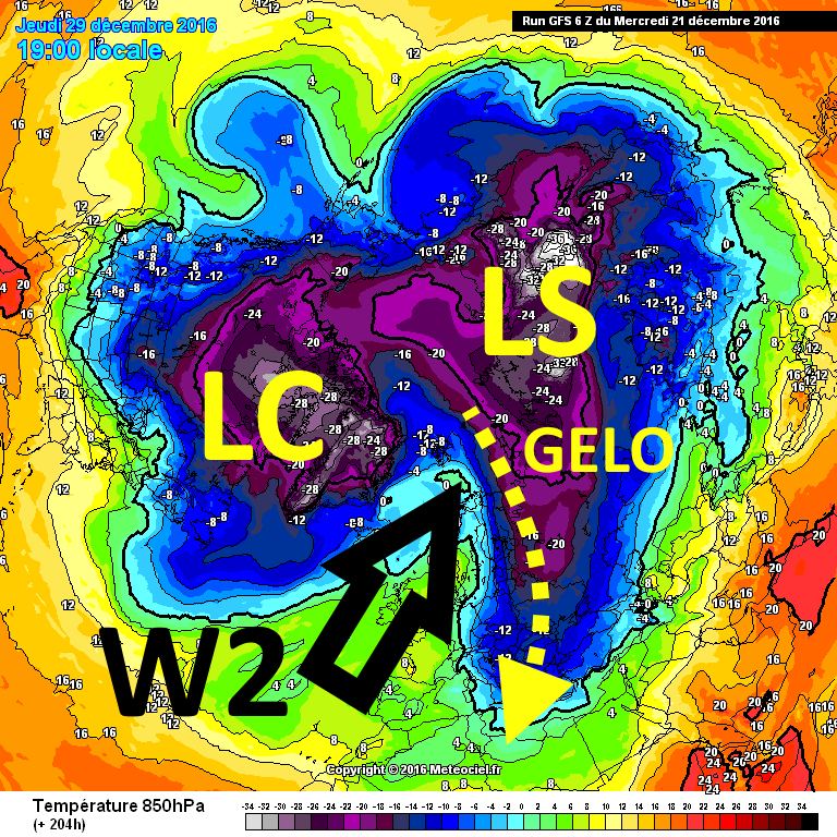 gfsnh-1-204