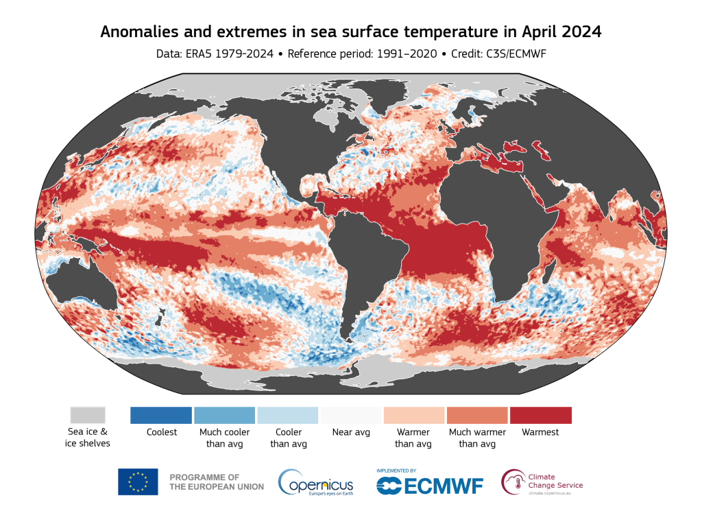 map_era5_monthlly_sst_percentiles_202404