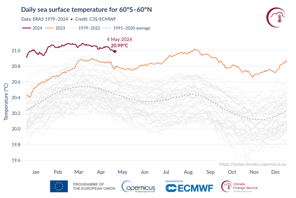 timeseries_era5_daily_sst_60S-60N_1979-2024